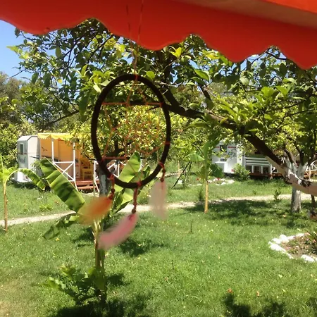 Bellerofon Çıralı