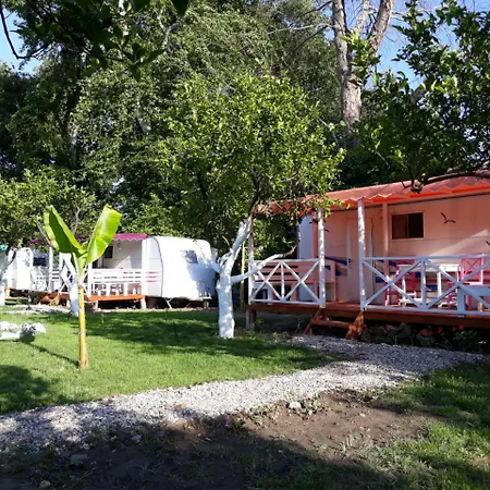 Bellerofon Caravan &