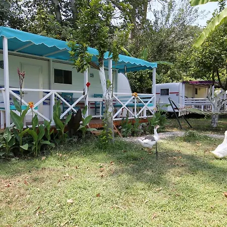 Campsite Bellerofon Caravan & *